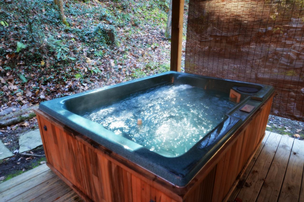 הוילה Chalet Village Little Creek Cabin מראה חיצוני תמונה